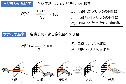 海洋動物と漁業: 定置網の改良によるアザラシの侵入防止（混獲